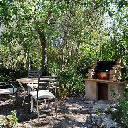 Traditional With Pool In Dom wakacyjny Pollensa