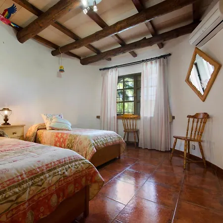 Traditional With Pool In Dom wakacyjny Pollensa